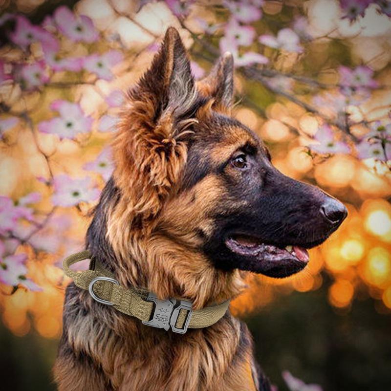 Dog Collars & Leashes Tactical Collar Nylon Pet Adjustable Training Quick Control Handle For Medium Large Dogs