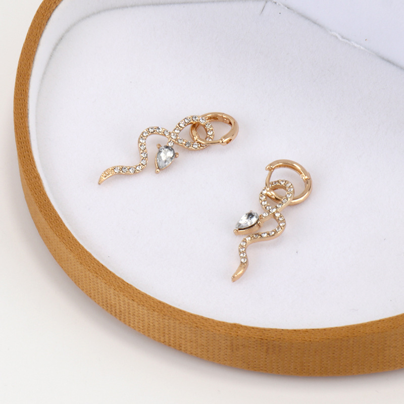 Korean version of personality net red temperament Hoop earrings 2021 new trendy snake jewelry female Women Earring