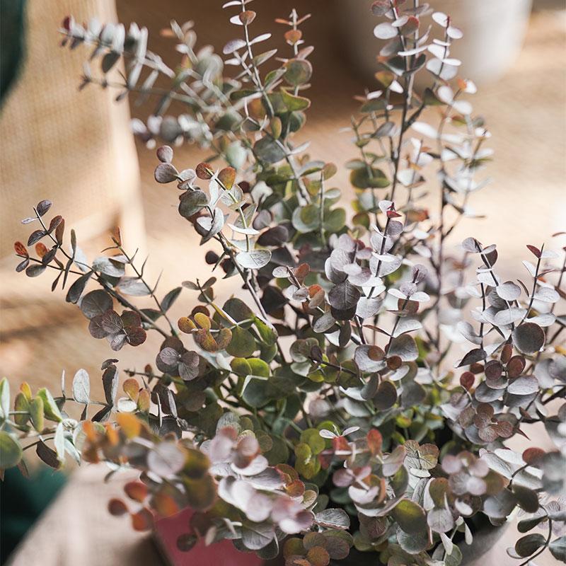 Retro Little Eucalyptus 63cm Artificial Flower Eucalyptus Leaves Decorative Floral Art Ornaments
Retro Little Eucalyptus 63cm Artificial Flower Eucalyptus Leaves Decorative Floral Art Ornaments