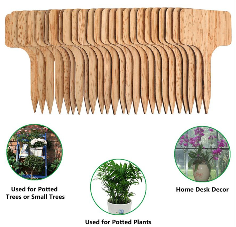 Garden Decorations Bamboo Plant Labels for Outdoor Tags Waterproof , 2.36x4 inches T-Type Wooden Markers Flower, Vegetable, Nursery
Garden Decorations Bamboo Plant Labels for Outdoor Tags Waterproof , 2.36x4 inches T-Type Wooden Markers Flower, Vegetable, Nursery