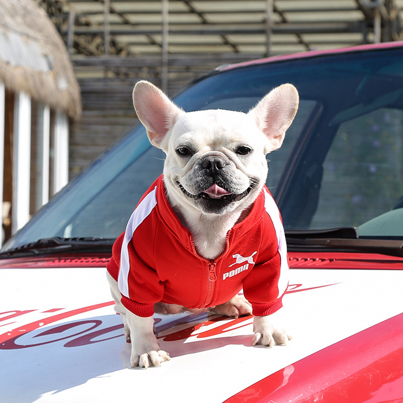 free shipping Soft and Warm et Designer Dog Apparel Pet Clothes Sublimation Printed Sweatshirt for Small Dogs Chihuahua Yorkie French Bulldog Red 3XL 