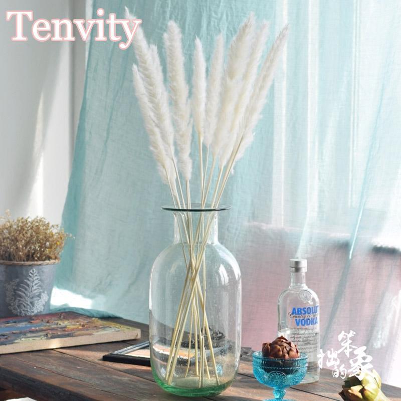 Bulrush Natural Dried Flowers Artificial Plants Branch Colorful INS Pampas Grass Phragmites Fake Flower Wedding Home Decoration
