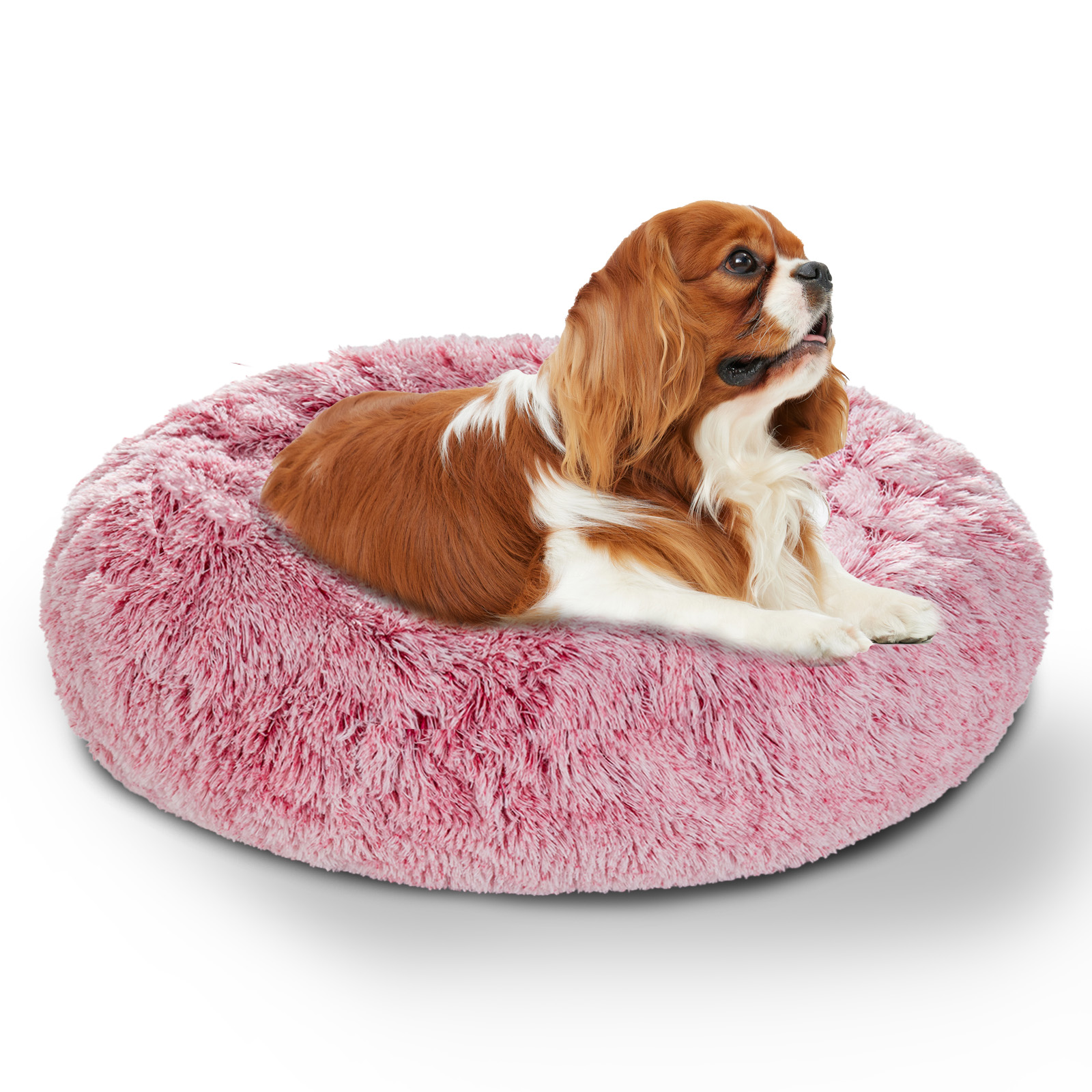 Dog Bed Cat Beds Sofa Sma Medium Extra arge Dogs Pet Kenne Round Cushion Mat for Dogs Cats Puppy Pet pies Accessories, Coffee
Dog Bed Cat Beds Sofa Sma Medium Extra arge Dogs Pet Kenne Round Cushion Mat for Dogs Cats Puppy Pet pies Accessories, Coffee