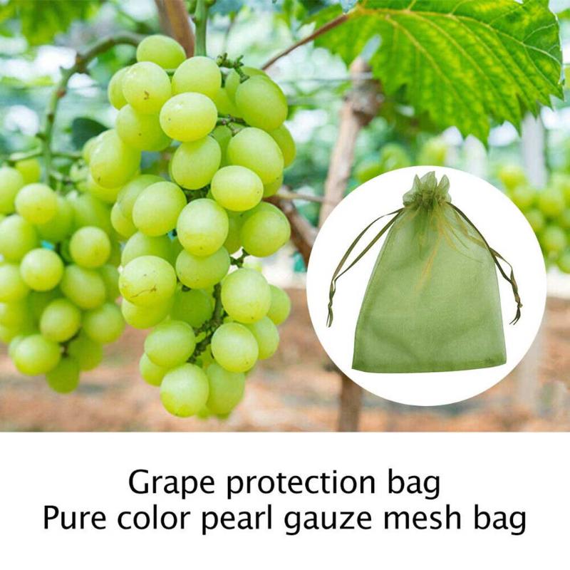 Other Garden Supplies 100pcs Mesh Bags Grape Protection Netting Bag For Protecting Fruits Vegetable Soaking S-eeds