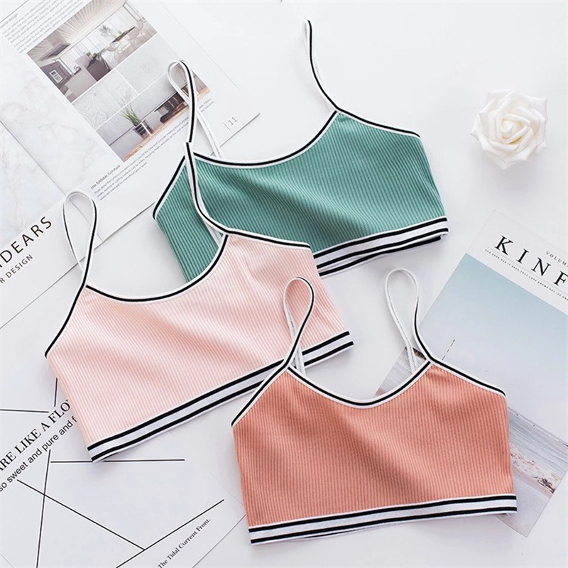 4pcs Teen Bra Girl Vest Cotton Spandex Big Girl's Sport 12-16 Years Adolescente Kids Underwear Training
4pcs Teen Bra Girl Vest Cotton Spandex Big Girl's Sport 12-16 Years Adolescente Kids Underwear Training