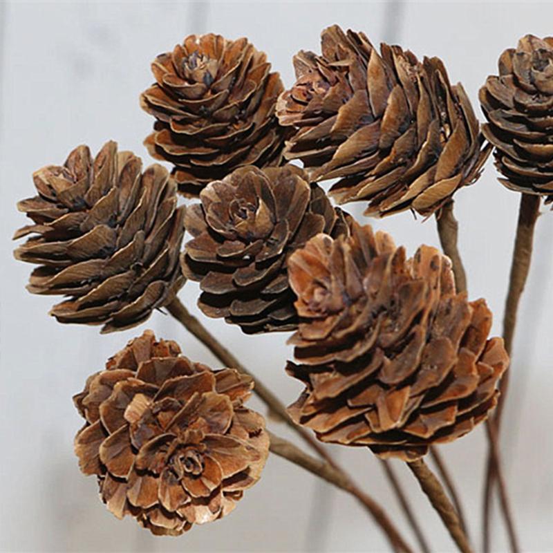 New 5Pcs Original Pine Nuts Natural Dry Plant Flowers Christmas Decoration Irons Pine Cones Flower Bouquet
New 5Pcs Original Pine Nuts Natural Dry Plant Flowers Christmas Decoration Irons Pine Cones Flower Bouquet