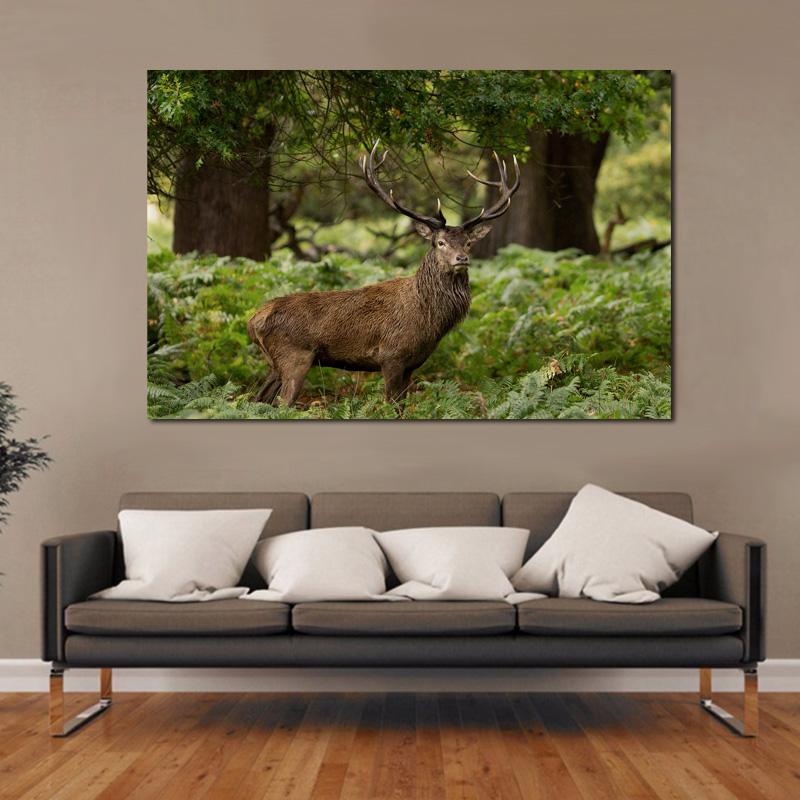 Forest Animals Wild Stag Deer KC101 Living room home wall modern art decor wood frame fabric posters
Forest Animals Wild Stag Deer KC101 Living room home wall modern art decor wood frame fabric posters