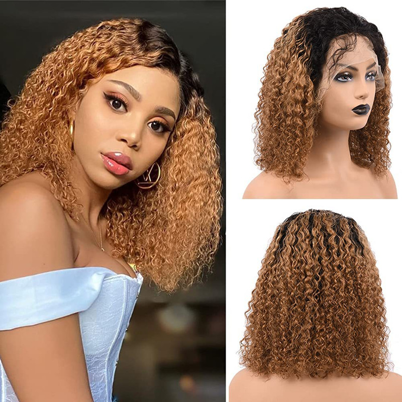 Afro Kinky Curly Synthetic Wig 12 inches Simulation Human Hair Wigs For Black Women B2624
