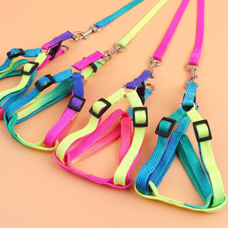 2021 New Small Pet Leashes Accessories New Nylon Pet Cat Dog Kitten Adjustable Colorful Harness Lead Leash Collar Belt