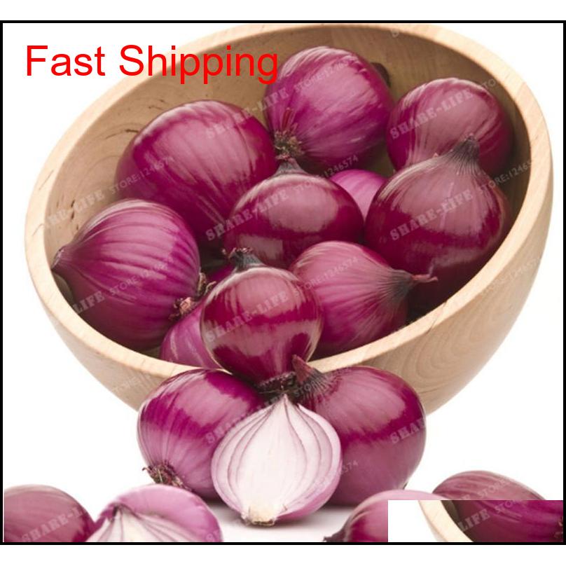 100 Pcs Onion Seeds Vegetable 95% High Germination Vegetable Chinese Allium Cepa Healthy qyljnX hairclippersshop
100 Pcs Onion Seeds Vegetable 95% High Germination Vegetable Chinese Allium Cepa Healthy qyljnX hairclippersshop