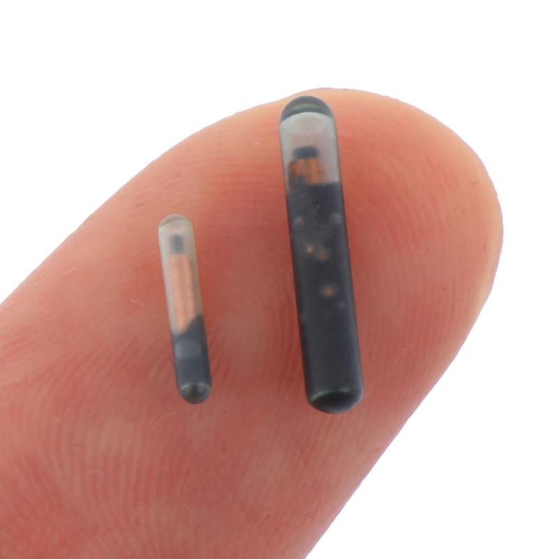 Dog Apparel 125KHZ/134.2KHZ 2.12*12mm/1.25*7mm Microchip Animal RFID Tag With EM4305 Chip ISO11784/5 FDX-B For Fish Cat Idetification, 2.12x12mm
Dog Apparel 125KHZ/134.2KHZ 2.12*12mm/1.25*7mm Microchip Animal RFID Tag With EM4305 Chip ISO11784/5 FDX-B For Fish Cat Idetification, 2.12x12mm