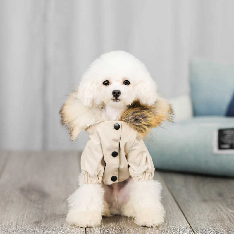 Clothes Winter Dog Jacket Pets Clothing For Small Medium Dogs Coat Warm Pet