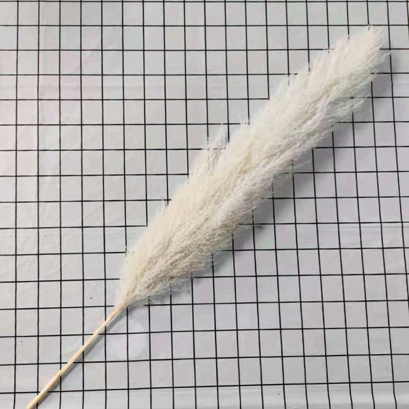 Decorative Flowers & Wreaths 140CM Natural Artificial Cultivation Pampas Grass Large Real Dried Reed Bouquet Decor For Home Wedding Decorati