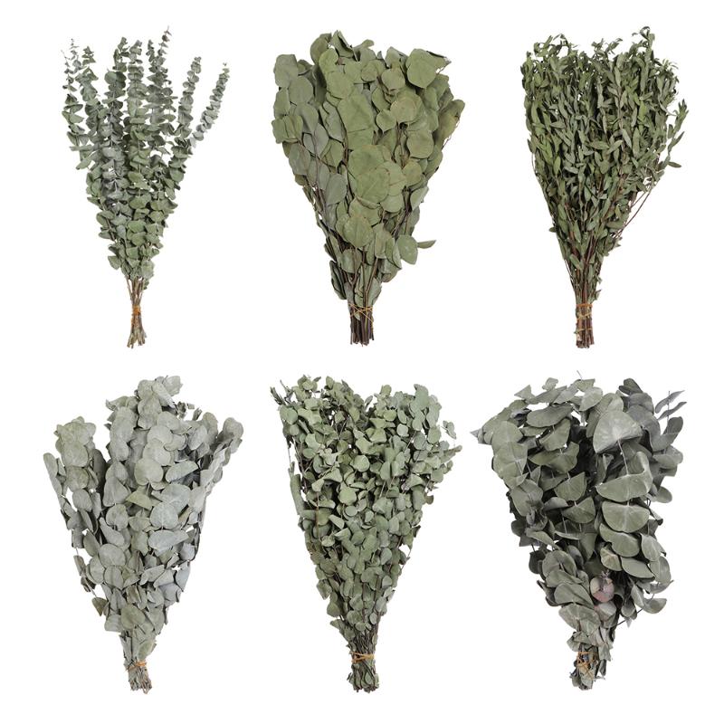 Nature Green Plant Leaves Real Dried Eucalyptus Branches Preserved Fresh Flower Bouquet For Garden Home Decoration, 10pcs(bouquet)
Nature Green Plant Leaves Real Dried Eucalyptus Branches Preserved Fresh Flower Bouquet For Garden Home Decoration, 10pcs(bouquet)