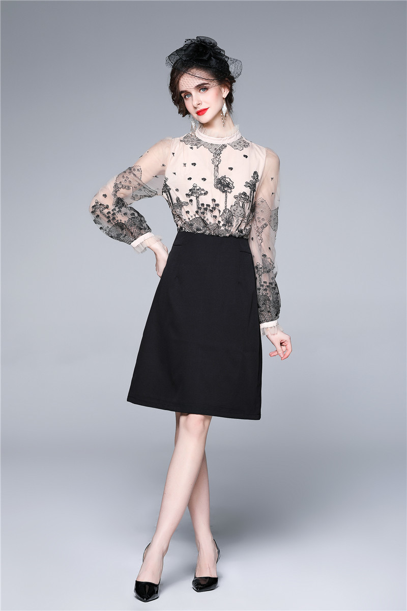 Women Designer Elegant Stand Embroidery Patchwork Sexy Slim Office Cocktail Party Robe Ladies Vintage Mesh Dress Vestidos 210525, Picture color
Women Designer Elegant Stand Embroidery Patchwork Sexy Slim Office Cocktail Party Robe Ladies Vintage Mesh Dress Vestidos 210525, Picture color
