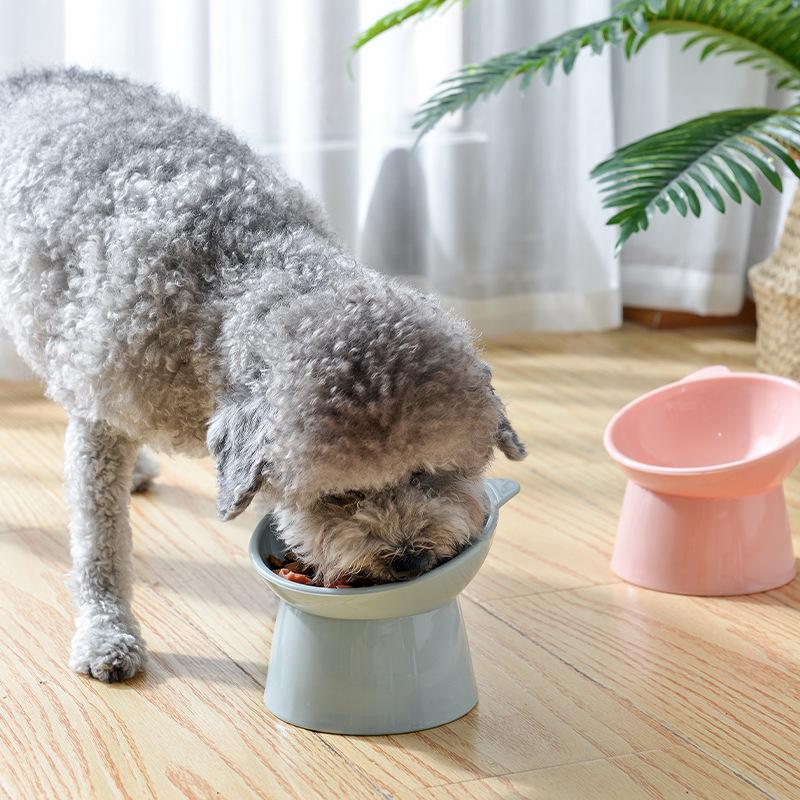 Cat Bowls & Feeders 1 Pc Bowl High Foot Dog 45°Neck Protector Pet Food Water Feeder