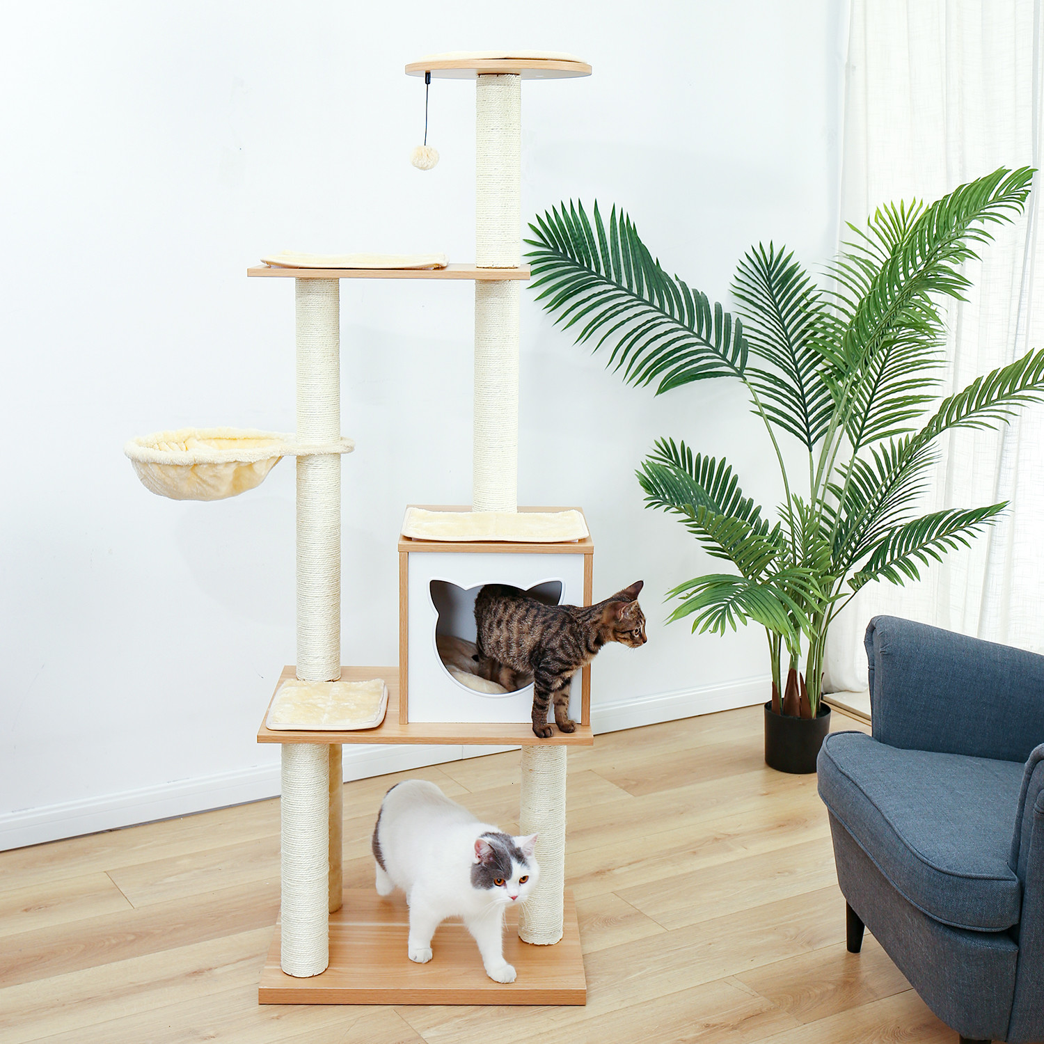 2021 New Fast Delivery Big Tree Tower Condo Scratch Post Pet Kitty Play House with Net Poles Cat Rascator Platform P57x
2021 New Fast Delivery Big Tree Tower Condo Scratch Post Pet Kitty Play House with Net Poles Cat Rascator Platform P57x