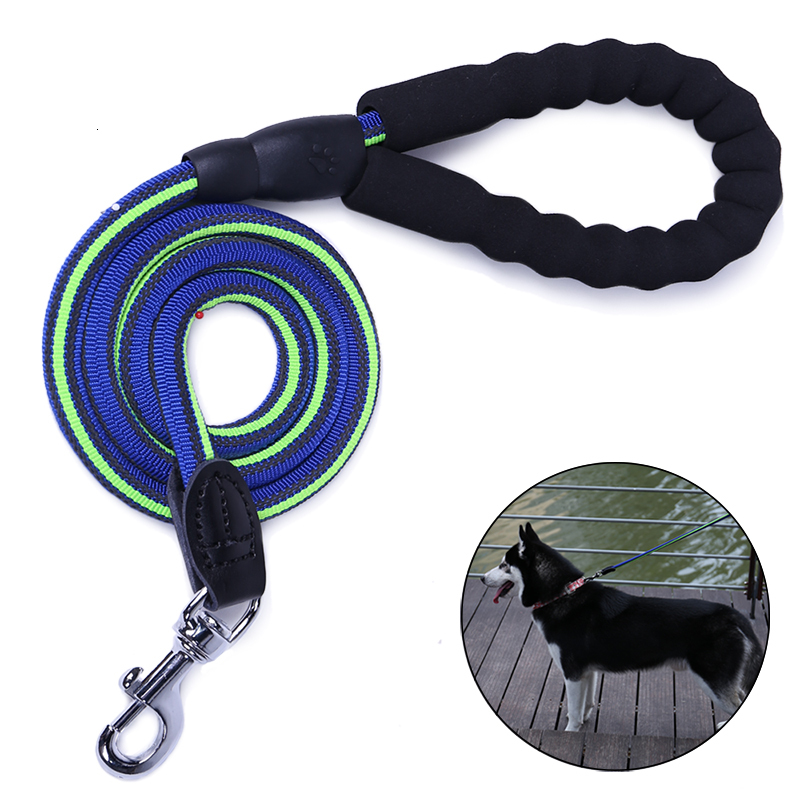 2021 New High Quality Walking Drizzle Dog Animals Style Dogs the Free Air Leash Rope Chumbo Trela From Dog's Hand to Pet Supplie Ohmm
2021 New High Quality Walking Drizzle Dog Animals Style Dogs the Free Air Leash Rope Chumbo Trela From Dog's Hand to Pet Supplie Ohmm