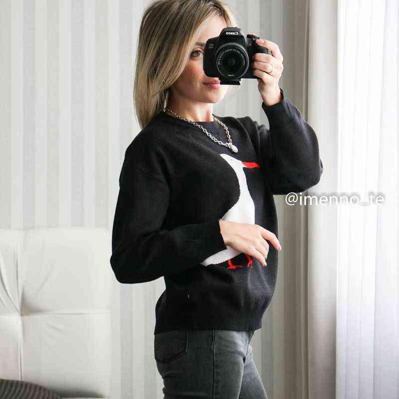 MASTGOU Embroidery Animal Womens Sweater Autumn Winter Highstreet Style Pullover Top Jacquard Knit Christmas Sweaters Pull Femme 211123wtt