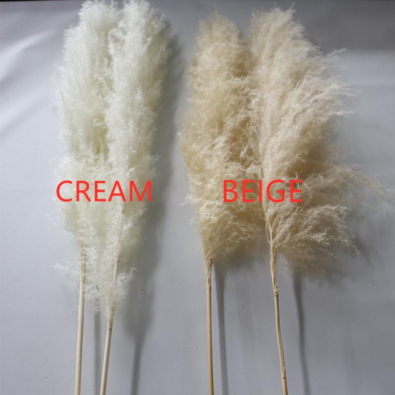 Decorative Flowers & Wreaths 80cm Pampas Grass Extra Large Natural White Dried Bouquet Fluffy For Boho Vintage Style Home Wedding Decor
