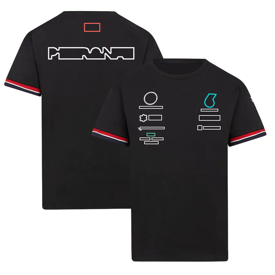 2022 summer new F1 racing suit T-shirt team polo shirt short-sleeved custom clothes free shipping