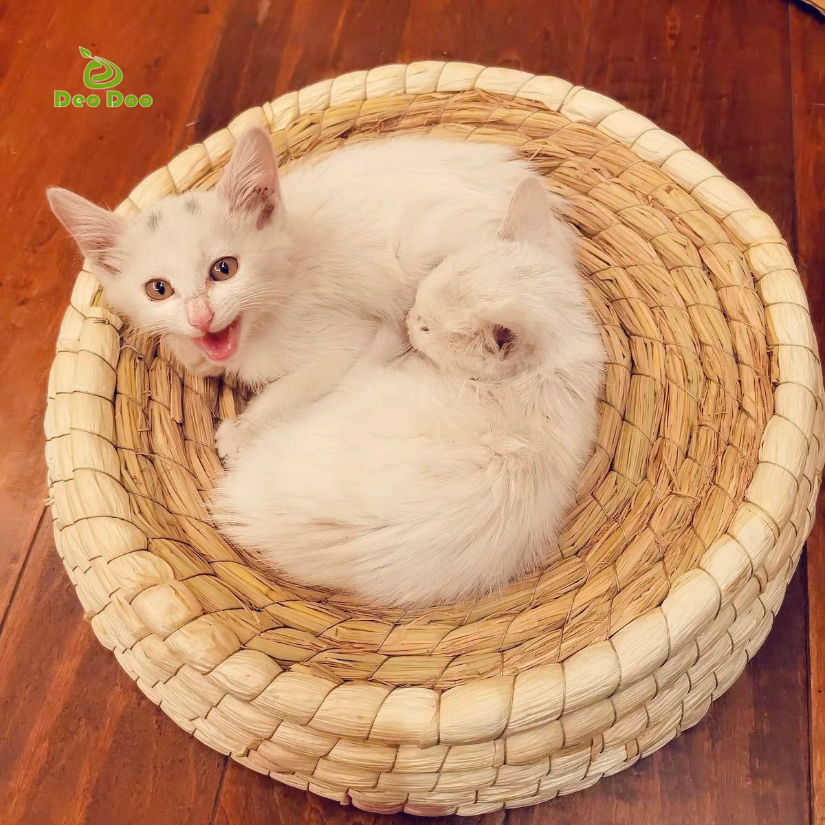 Handmade Cat Bed for Summer Biodegradabe Pet St Braided Bed Puppy Kenne Cat Nest Kitten Scratching Seeping Mat Pets House, Mini25cm
Handmade Cat Bed for Summer Biodegradabe Pet St Braided Bed Puppy Kenne Cat Nest Kitten Scratching Seeping Mat Pets House, Mini25cm