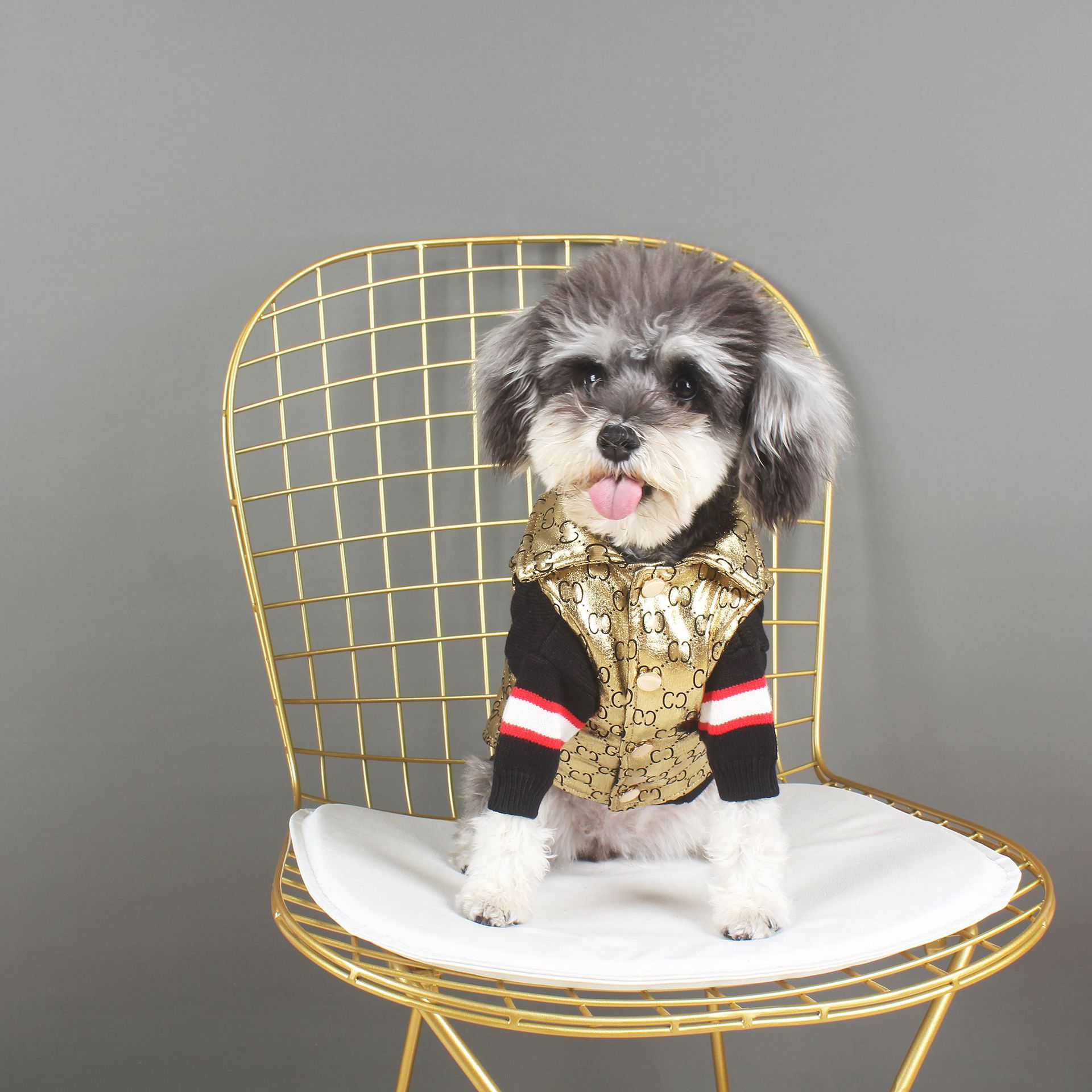 Dog Apparel Designer Letters Print Fashion Casual Autumn Winter Pet Outfit Thickening Gold Cotton Vest Padded Coat Polyester Warm Clothes Puppy Sleeveless for Dogs
Dog Apparel Designer Letters Print Fashion Casual Autumn Winter Pet Outfit Thickening Gold Cotton Vest Padded Coat Polyester Warm Clothes Puppy Sleeveless for Dogs