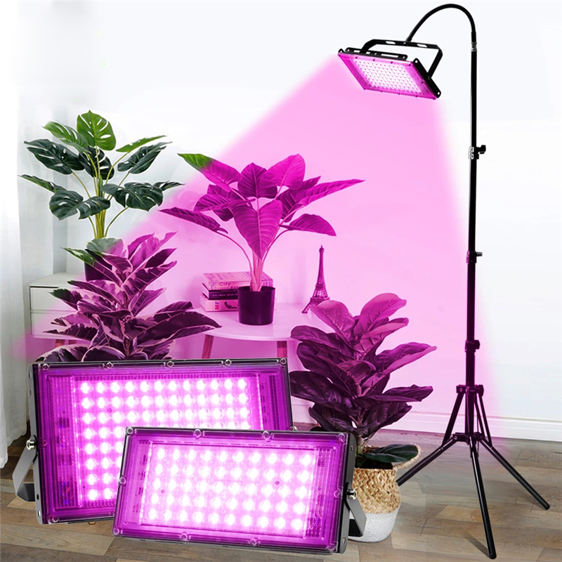 Full Spectrum LED Grow Light 50W 100W Greenhouse Phyto Lamps LEDs Plant Grows Lamp Outdoor Floodlight Spotlight
Full Spectrum LED Grow Light 50W 100W Greenhouse Phyto Lamps LEDs Plant Grows Lamp Outdoor Floodlight Spotlight