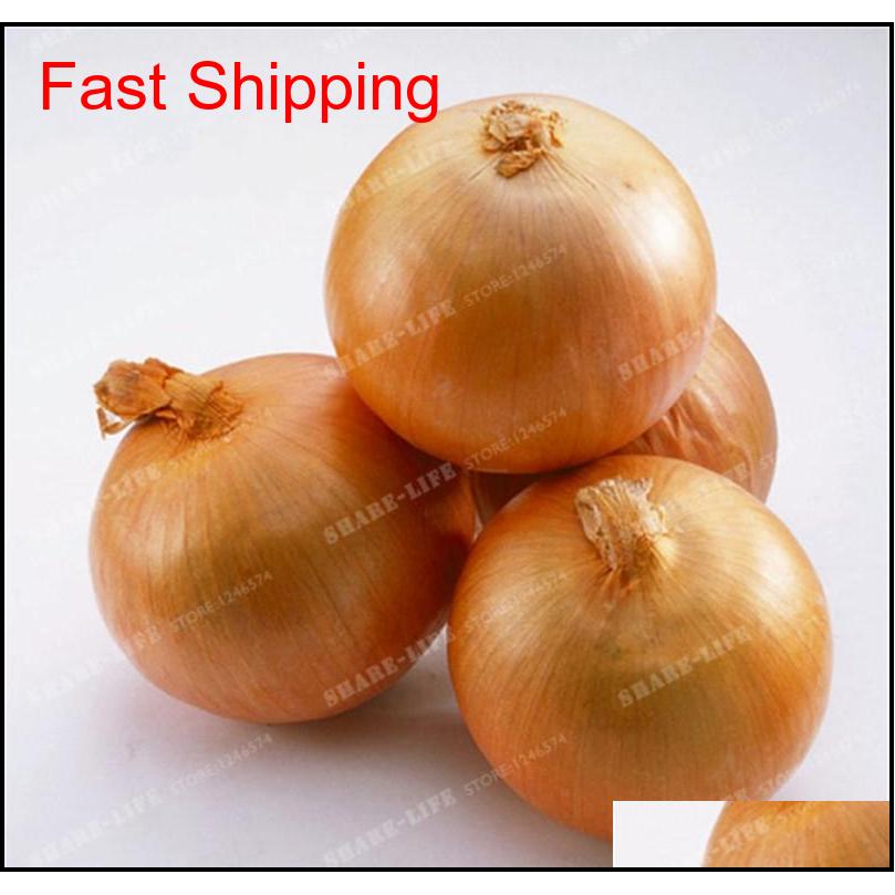 100 Pcs Onion Seeds Vegetable 95% High Germination Vegetable Chinese Allium Cepa Healthy Vegeta jllUwE ffshop2001
100 Pcs Onion Seeds Vegetable 95% High Germination Vegetable Chinese Allium Cepa Healthy Vegeta jllUwE ffshop2001