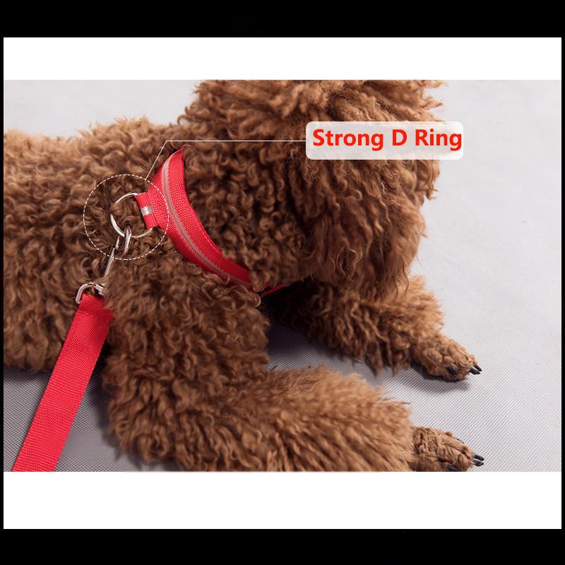 Dog Collars & Leashes Pet LED Collar Harness Usb Rechargeable Luminous Night Glow Flashing XS-L