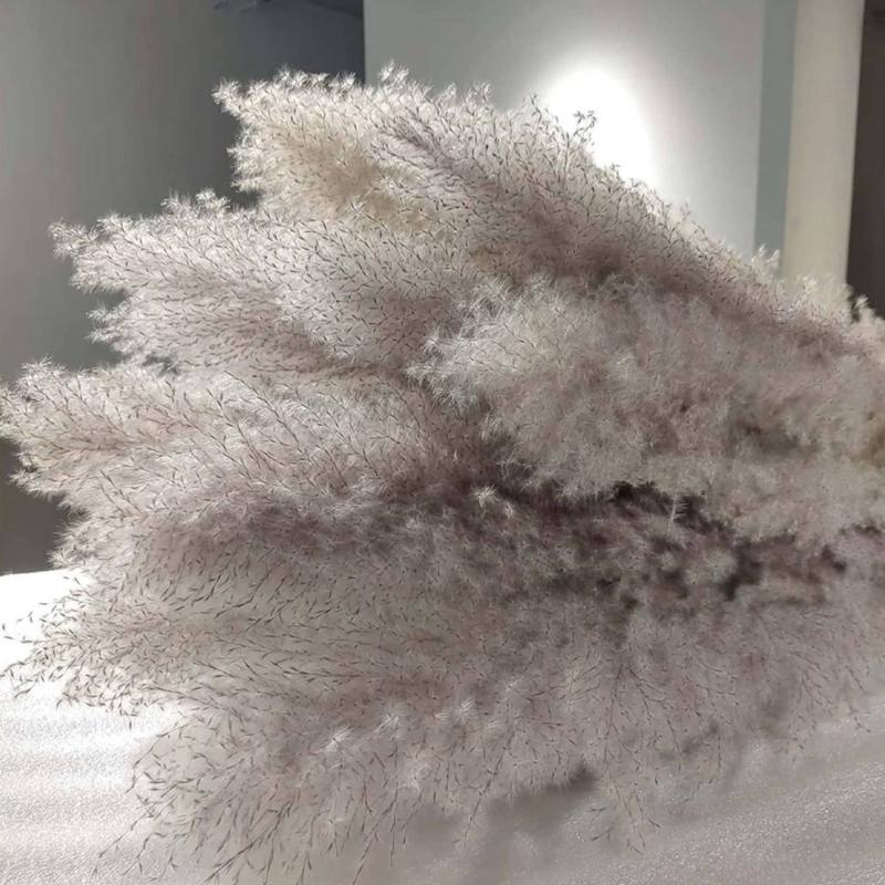 Decorative Flowers & Wreaths 140CM Natural Artificial Cultivation Pampas Grass Large Real Dried Reed Bouquet Decor For Home Wedding Decorati
