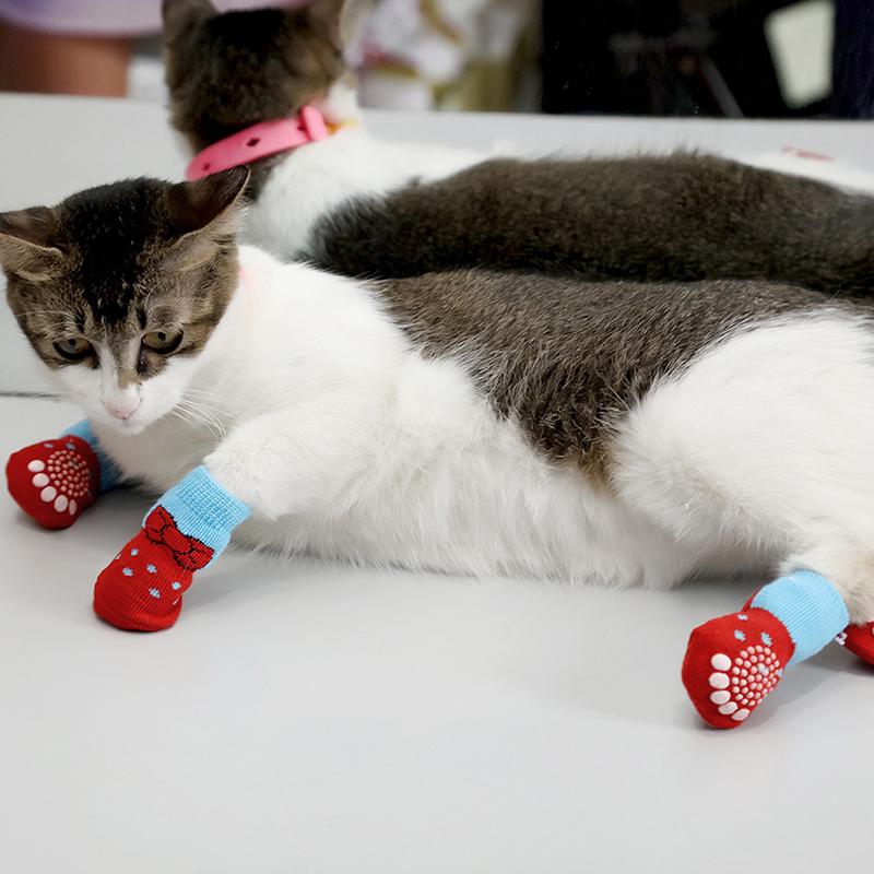 Dog Apparel 4pcs/Set Cute Puppy Knit Socks Small Dogs Cotton Anti-Slip Cat Shoes For Autumn Winter Indoor Wear Slip On Protector
Dog Apparel 4pcs/Set Cute Puppy Knit Socks Small Dogs Cotton Anti-Slip Cat Shoes For Autumn Winter Indoor Wear Slip On Protector