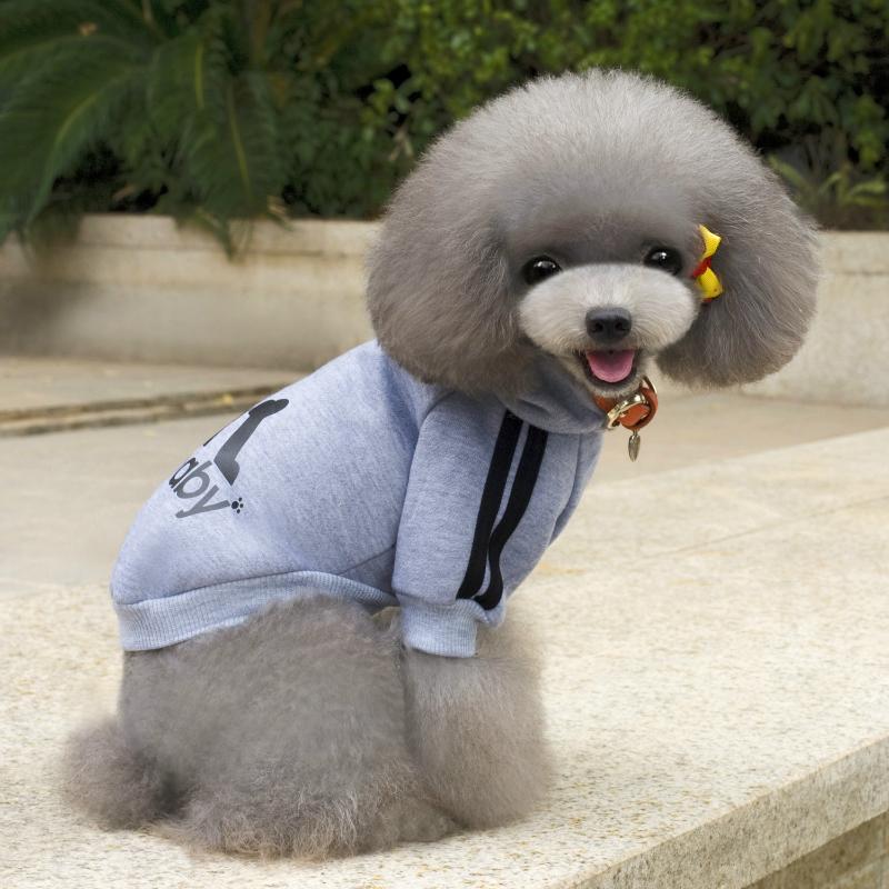 Dog Apparel Autumn And Winter Casual Style Pet Clothing Warm Comfortable Simple Fashionable Sports Sweater Bichon Small, Red
Dog Apparel Autumn And Winter Casual Style Pet Clothing Warm Comfortable Simple Fashionable Sports Sweater Bichon Small, Red