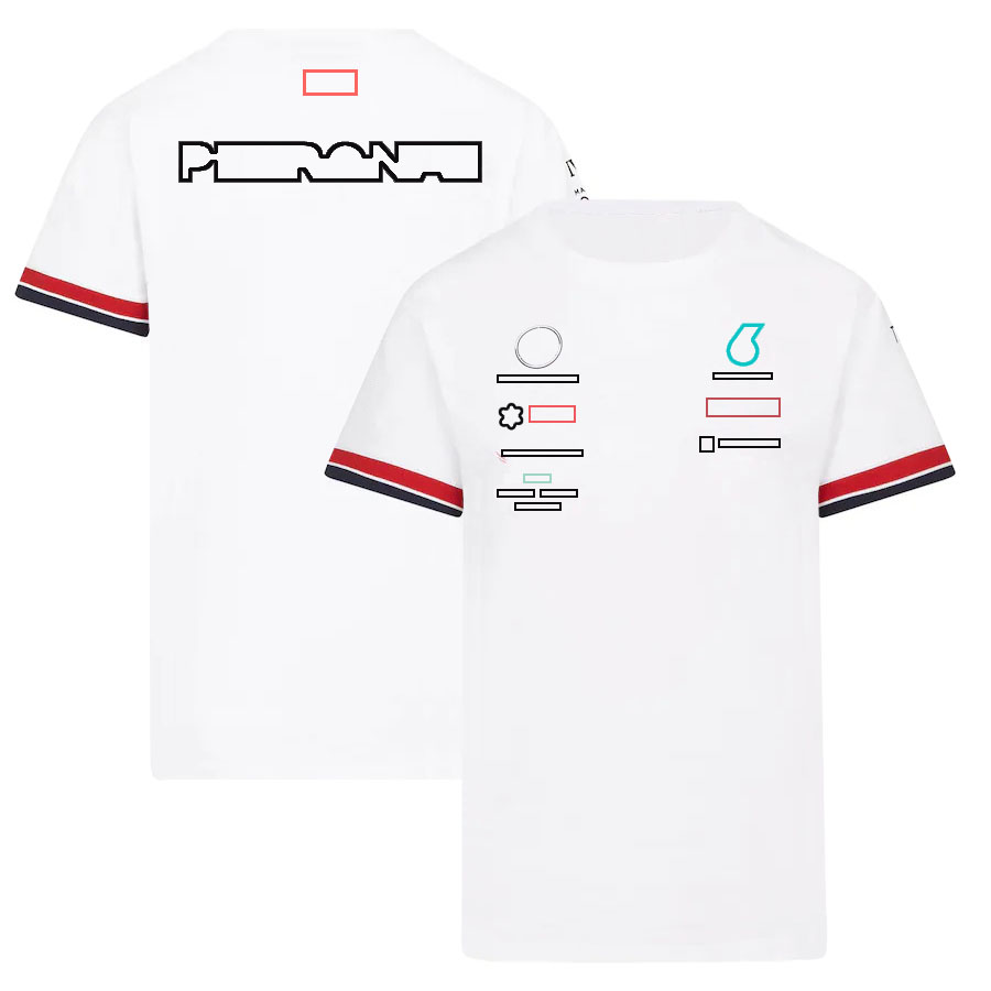 2022 summer new F1 racing suit T-shirt team polo shirt short-sleeved custom clothes free shipping