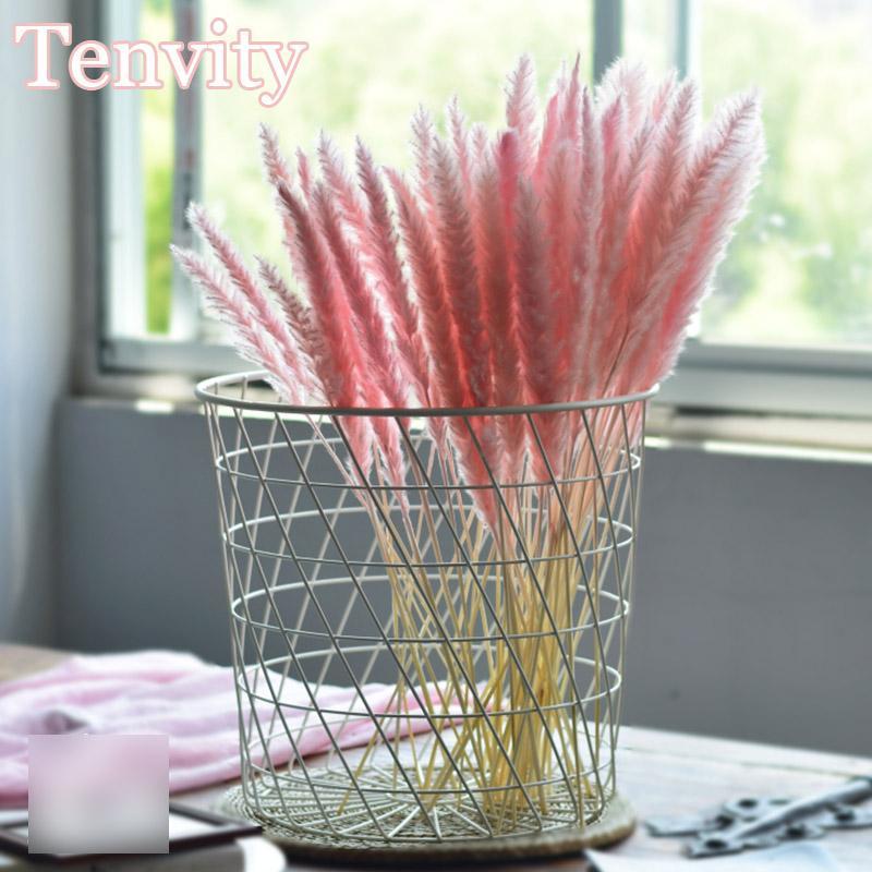 Bulrush Natural Dried Flowers Artificial Plants Branch Colorful INS Pampas Grass Phragmites Fake Flower Wedding Home Decoration