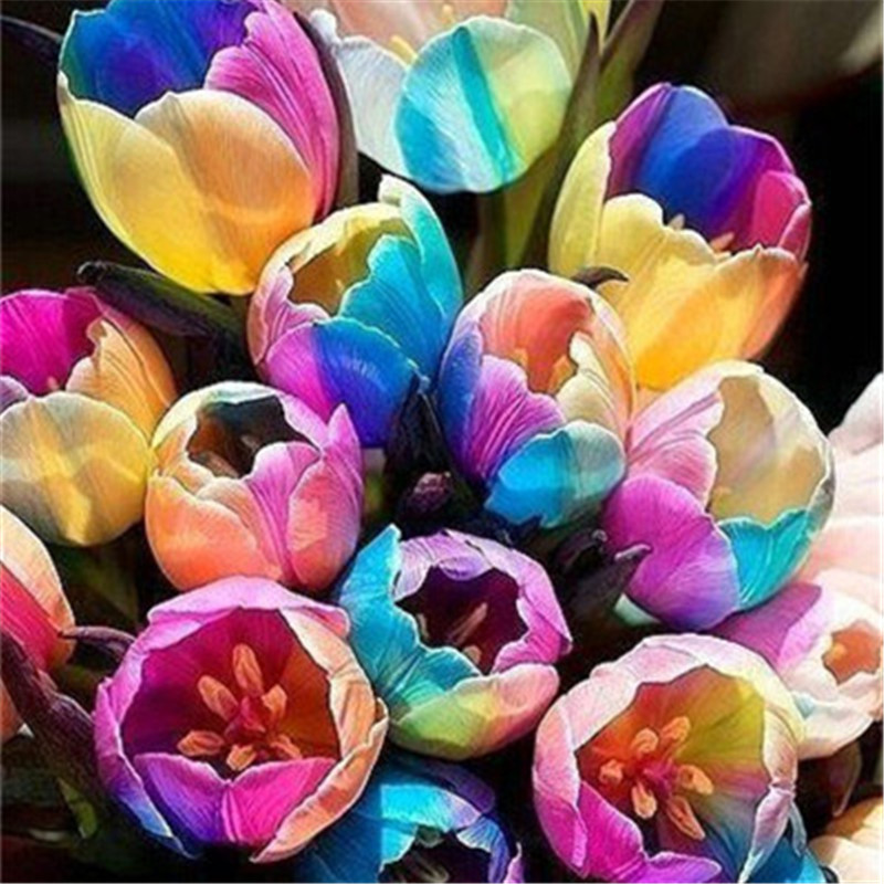 100 Pcs seeds Rainbow Tulip Bonsai, Flower Symbolizes Love,Perennial Tulipanes Home Garden Bonsai Plant Semillars De Flores Purify Air Natural Growth Aerobic Potted
100 Pcs seeds Rainbow Tulip Bonsai, Flower Symbolizes Love,Perennial Tulipanes Home Garden Bonsai Plant Semillars De Flores Purify Air Natural Growth Aerobic Potted
