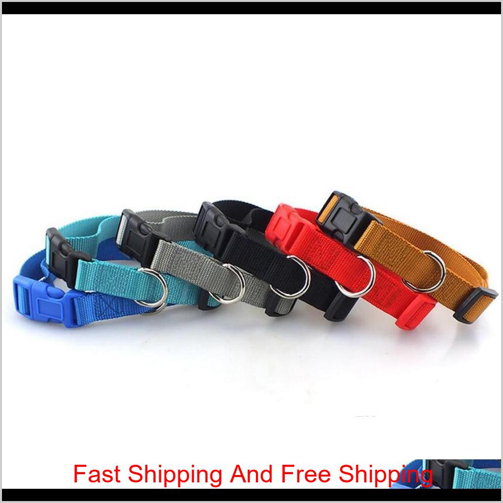 High Quality Plain Coloured Polyester Collar, Nylon Pet Necklace, Dog Necklace, Small And Medium-Sized Dog Products L465 7Rf5I Zktjw Lvk0S
High Quality Plain Coloured Polyester Collar, Nylon Pet Necklace, Dog Necklace, Small And Medium-Sized Dog Products L465 7Rf5I Zktjw Lvk0S