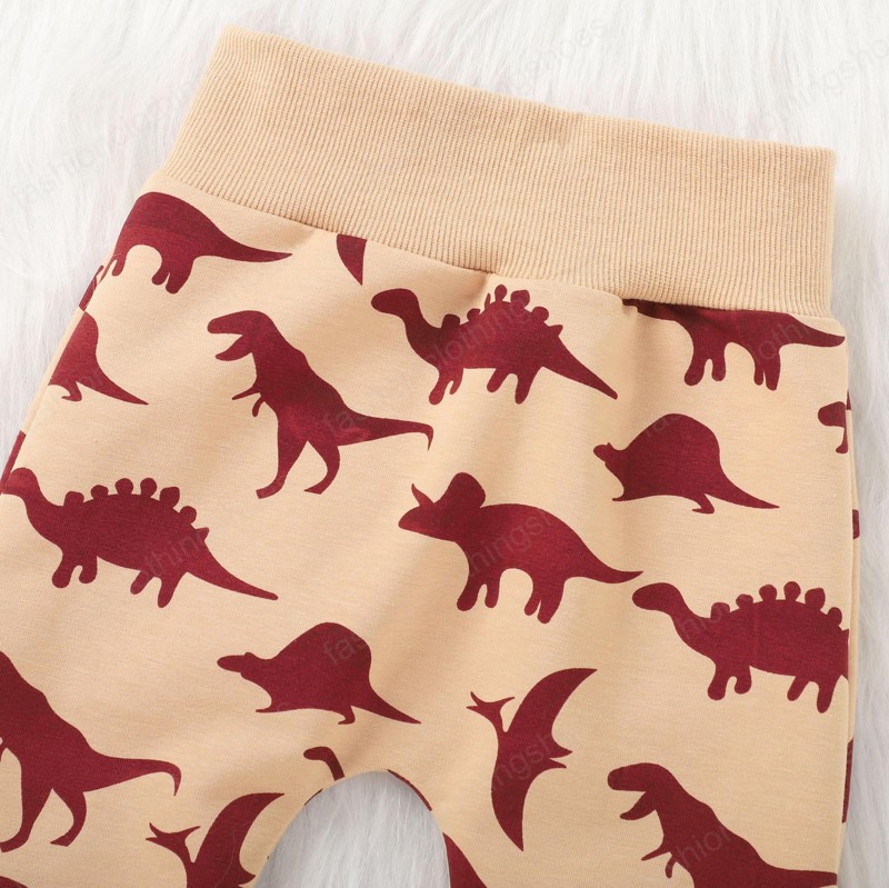 Boy Clothing Set Cute Dinosaur With Big Pocket Design Hoodies +Pants Autumn Cotton Soft Kids clothes 2 Piece sets 0-24 months