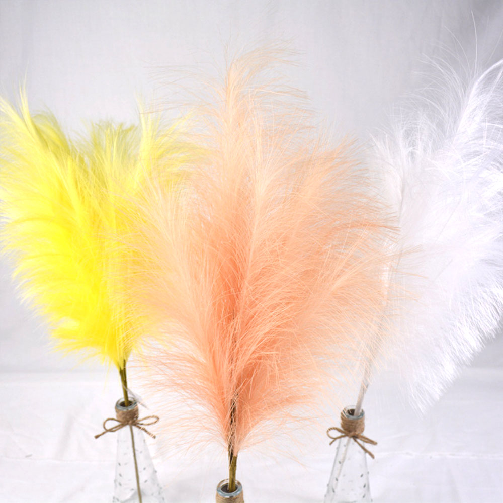 Coorfu pampas grass phragmites artificia dried fowers wedding home decor natura bouquets of dried fowers eucayptus Rose, Black
Coorfu pampas grass phragmites artificia dried fowers wedding home decor natura bouquets of dried fowers eucayptus Rose, Black