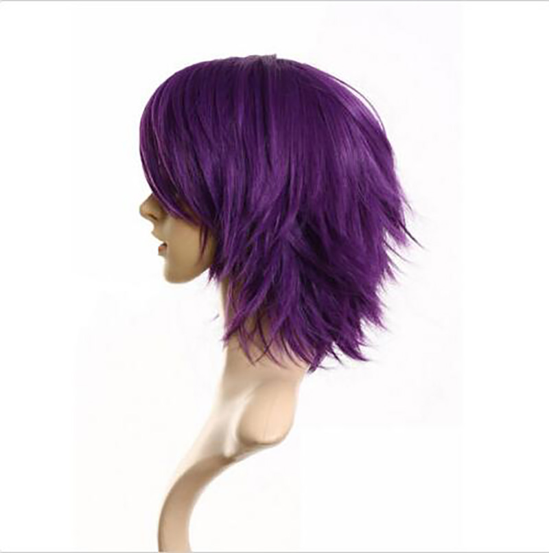 Cosplay Hair Short Synthetic Straight Wig Hairstyle Hightemperature for Party