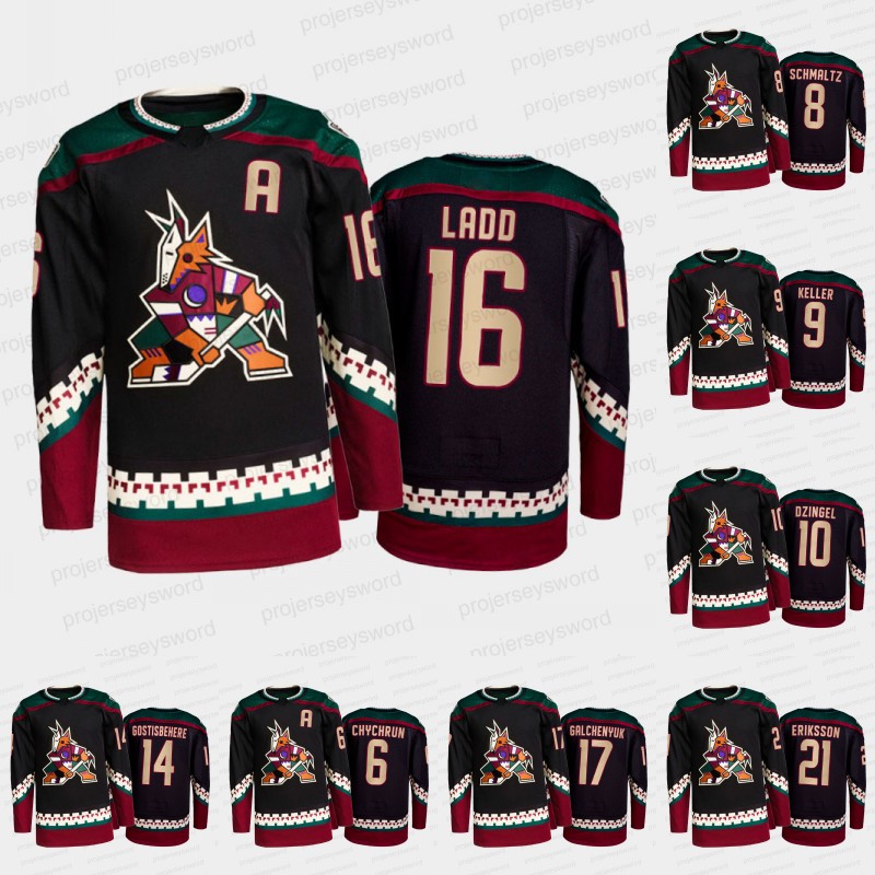 #14 Shayne Gostisbehere Jersey Karel Vejmelka Lawson Crouse Vladislav Provolnev Dmitrij Jaskin Anton Stralman Jay Beagle Phil Kessel Eriksson Johan Larsson, 36 christian fischer
#14 Shayne Gostisbehere Jersey Karel Vejmelka Lawson Crouse Vladislav Provolnev Dmitrij Jaskin Anton Stralman Jay Beagle Phil Kessel Eriksson Johan Larsson, 36 christian fischer