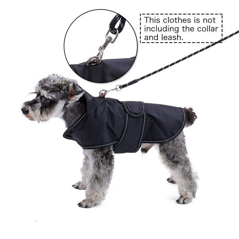 2021 New Pet Winter Coat Hot Collection D'wind-proofing Water with Track Reflexive Fit All Seasons 2 in 1 Dog Coating for Porte Medium Dogs, Black.
2021 New Pet Winter Coat Hot Collection D'wind-proofing Water with Track Reflexive Fit All Seasons 2 in 1 Dog Coating for Porte Medium Dogs, Black.