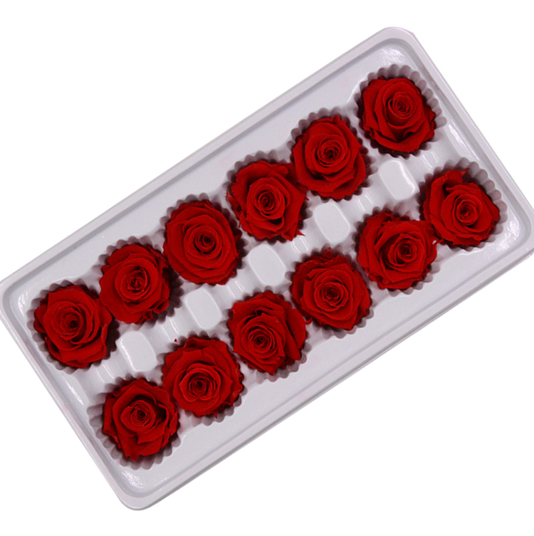 Beautiful Forever Flower Rose 2-3 cm Natural DIY Floral Arts, 12pcs/Box Romantic Mini Immortal Roses Flowers Head for Valentine's or Christmas Day Decoration Gifts, White
Beautiful Forever Flower Rose 2-3 cm Natural DIY Floral Arts, 12pcs/Box Romantic Mini Immortal Roses Flowers Head for Valentine's or Christmas Day Decoration Gifts, White