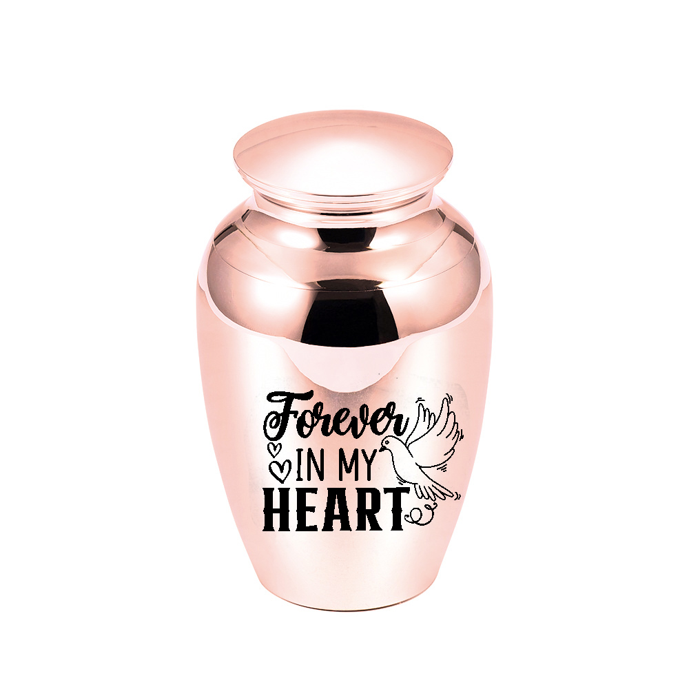 Small Keepsake Pendant Urns for Human/Pet Ashes Mini Cremation Jar Memorial Ash Holder with Lock Belt Gift Velvet Bag
Small Keepsake Pendant Urns for Human/Pet Ashes Mini Cremation Jar Memorial Ash Holder with Lock Belt Gift Velvet Bag