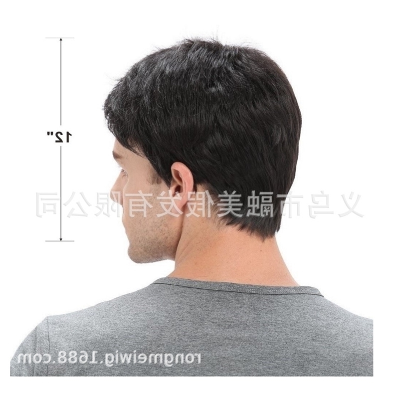 fluffy Wig Men's straight face wig fashion short hair men's high temperature silk rose net, Black 
fluffy Wig Men's straight face wig fashion short hair men's high temperature silk rose net, Black