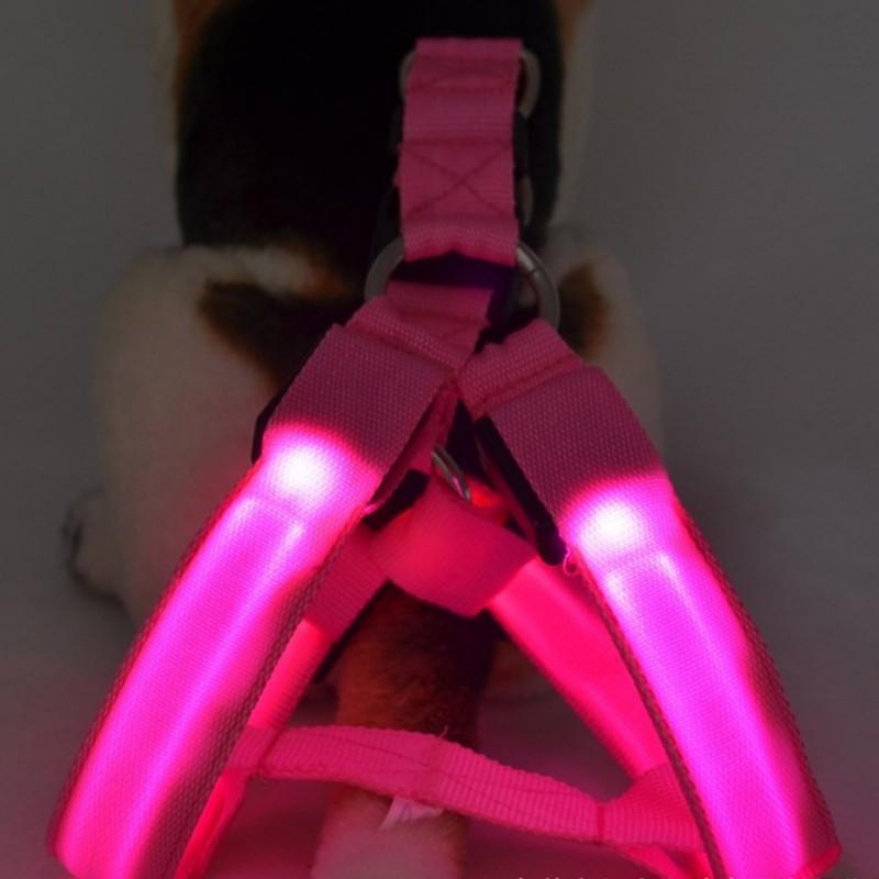 Dog Collars & Leashes USB LED Harness Pet Cat Collar Vest Safety Lighted Dogs Luminous Fluorescent5773035
Dog Collars & Leashes USB LED Harness Pet Cat Collar Vest Safety Lighted Dogs Luminous Fluorescent5773035