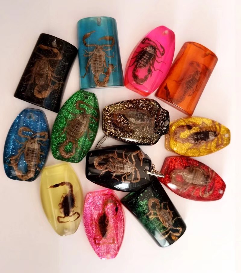 14 pcs Creative Retro Scorpion King Mixed Shape Keychain Personality Punk Keyring
14 pcs Creative Retro Scorpion King Mixed Shape Keychain Personality Punk Keyring