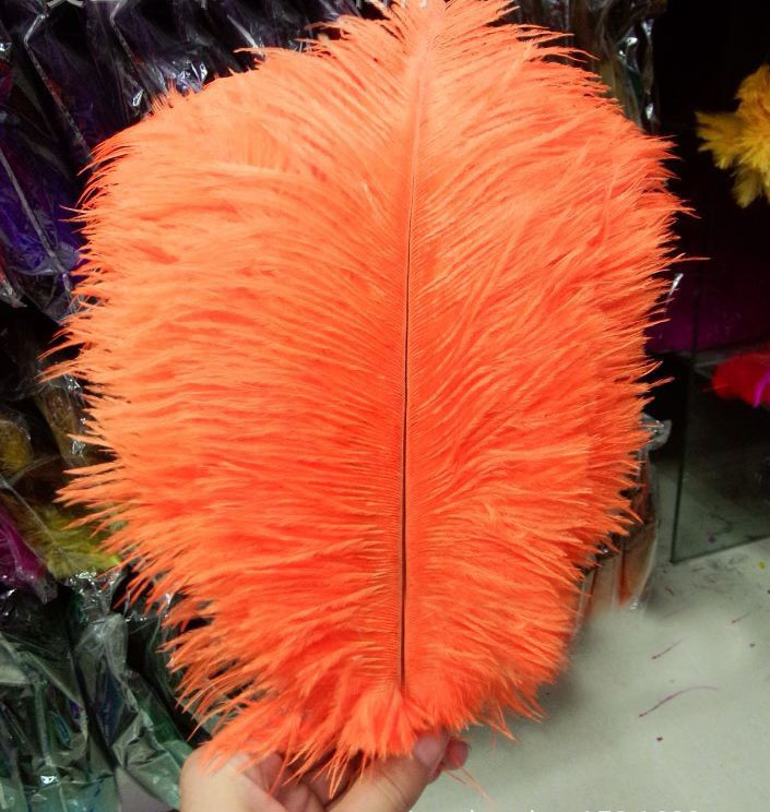 Decorative Ostrich Feathers in Various Shades Ideal for Weddings, Birthdays, and More (25-30cm)