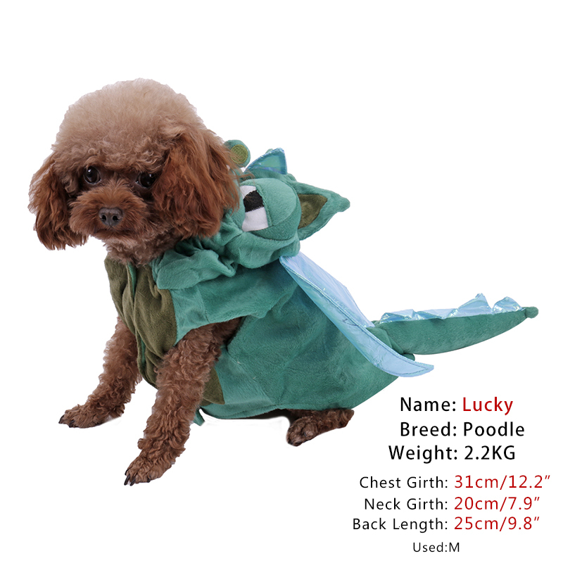 2021 New Pirate Style the Dog From Animated Cartoons Performance Clothes Fun Fancy Trajes for Pet Cat Supplies K76l
2021 New Pirate Style the Dog From Animated Cartoons Performance Clothes Fun Fancy Trajes for Pet Cat Supplies K76l