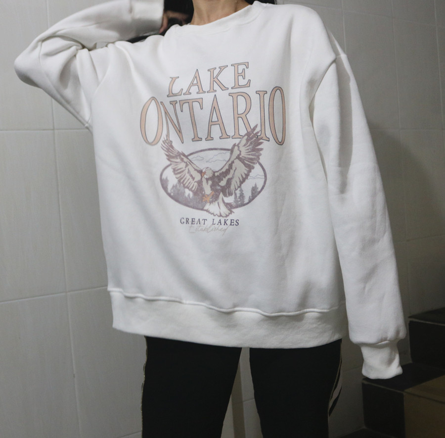 Beige White Vintage Letter Printed Thick Quality Crewneck Sweatshirt Women Oversized Winter Clothes Tops Loose Casual Streetwear 201211